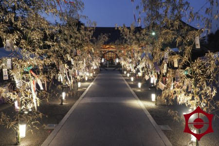 夏詣_浅草神社