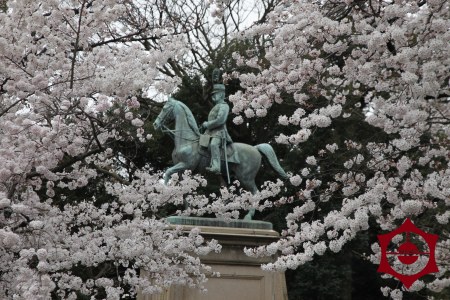 桜_上野公園