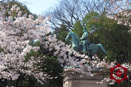 桜_上野公園