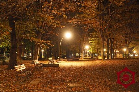 上野公園_夜景_紅葉