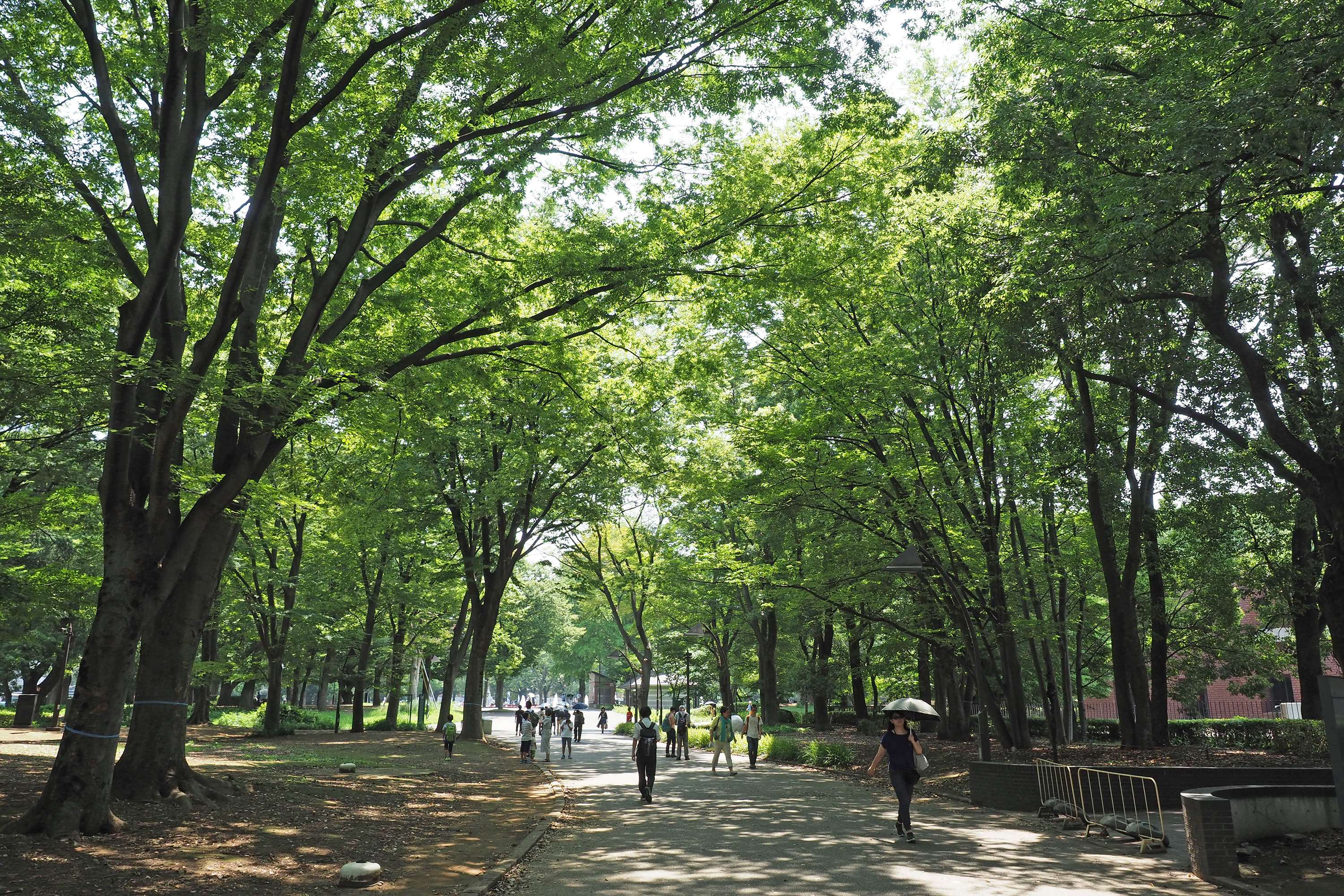 上野恩賜公園｜写真ギャラリー｜TAITOおでかけナビ