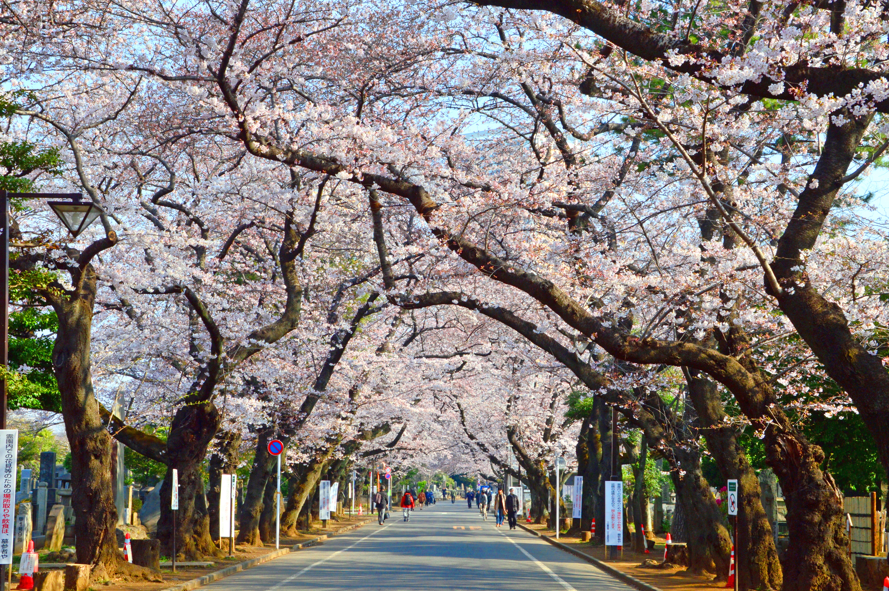 谷中霊園の外観