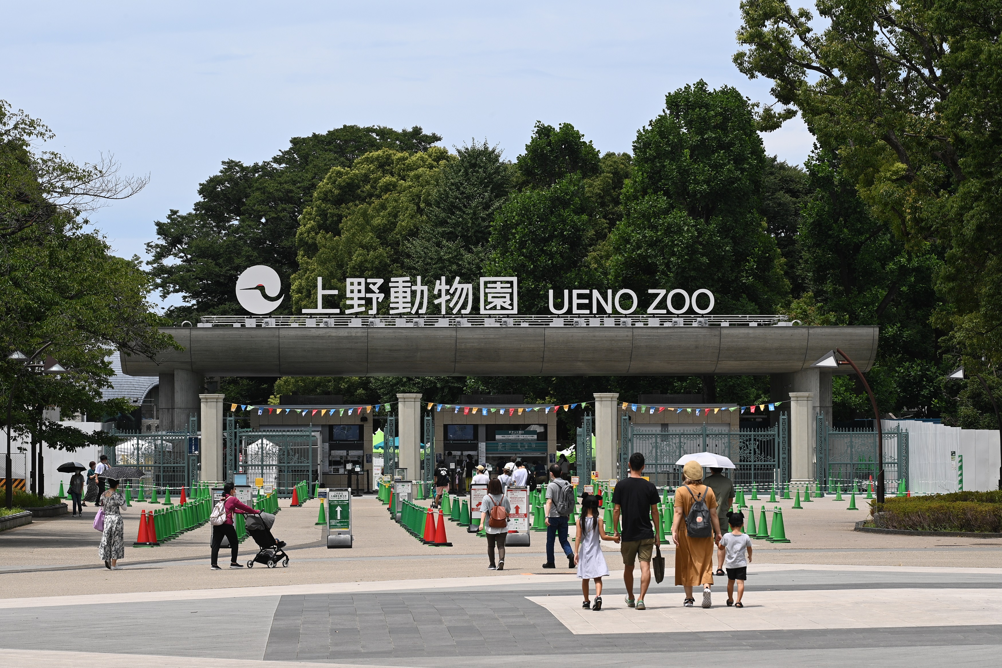 上野 動物園 開園 時間